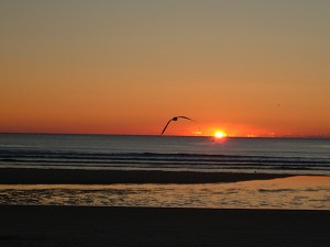 Ventura, CA