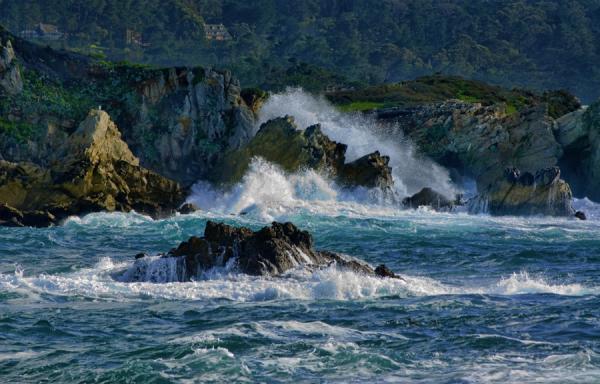 Point Lobos, CA