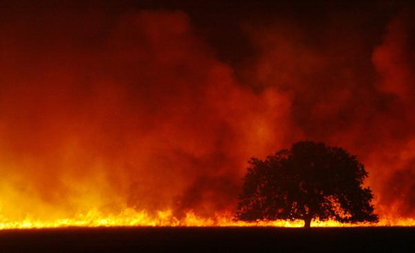 Line of Fire