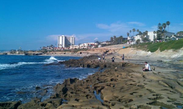 La Jolla tide pools.