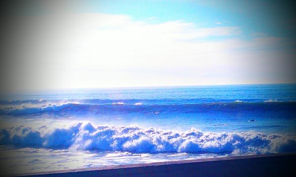 Surf.