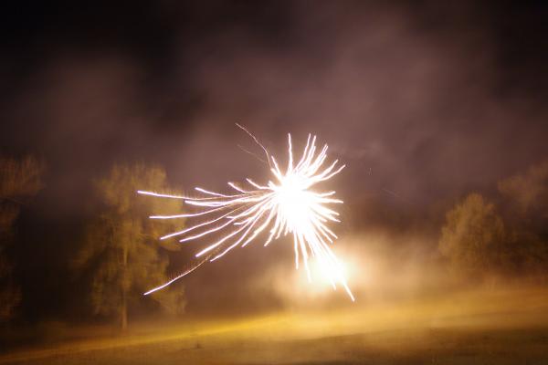 "Phoenix" exploding mortar type firework. 
News Years Eve 2011-Pentax K-7