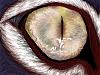 cateye 7