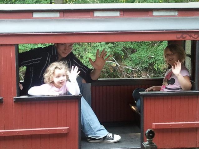 Safari Train