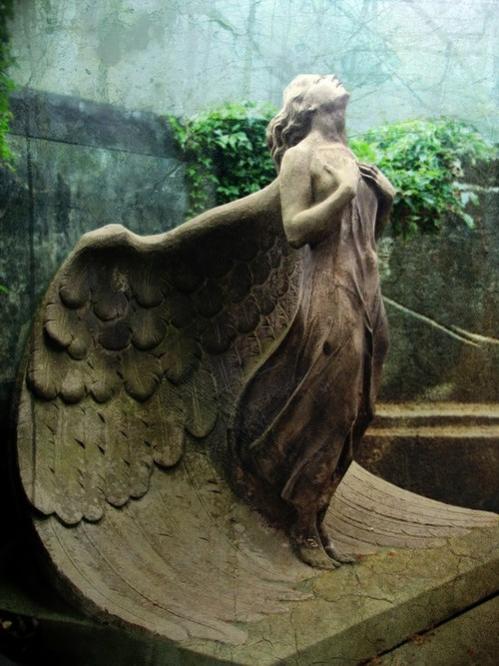 Warsaw Angel.