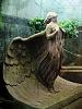Warsaw Angel.