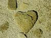 A random, but apropos, clay formation on the beach