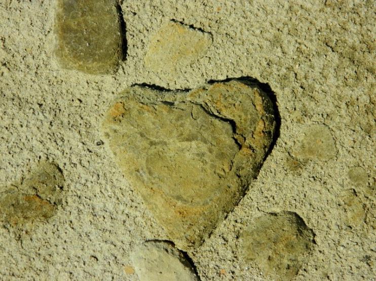 A random, but apropos, clay formation on the beach