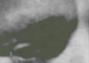 tfwelch's Avatar