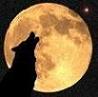 Loup Ombrage's Avatar