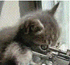 catsniper's Avatar
