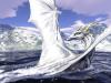 Saphira's Avatar