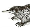 valiantiris's Avatar