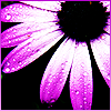 Marata's Avatar