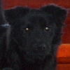 Nicholas Smoke's Avatar