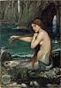Selkie's Avatar