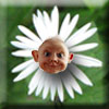 MoldyMuse's Avatar