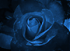 hefesto's Avatar