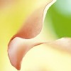 NNoah3's Avatar