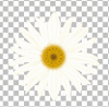 darlingdev's Avatar