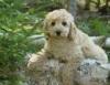 Emily May Nelms's Avatar