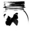 FleurDeMal's Avatar