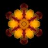 GypsyDream's Avatar