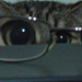 Ezakael's Avatar