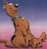 scoobyd's Avatar