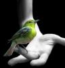 blithe spirit's Avatar