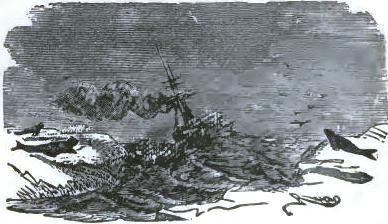 Steaming northward