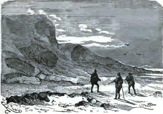 The hunters