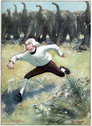 Baron chased by a herd of elephants